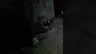 Billi comedy video India [upl. by Towney284]