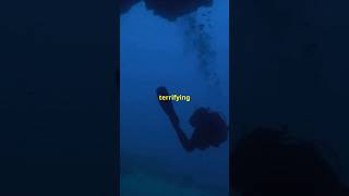 Horrible Diving Incident Byford Dolphin Decompression horrorstories scarystories scary [upl. by Weber]