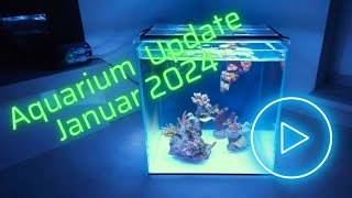 UNS Cube Nano Aquarium Update Januar 2024 [upl. by Dympha23]