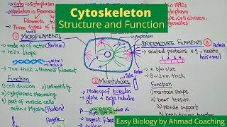 Cytoskeleton Structure and Function  Role in Motility [upl. by Madelina]