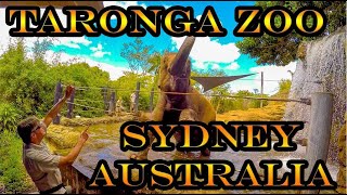 Taronga Zoo Sydney Australia [upl. by Conant]