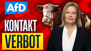 AfDBOYKOTT Politik Setzt Wirtschaft Unter Druck [upl. by Airetas199]