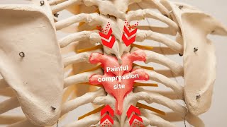 WENNING Wednesday traction VS compression A key factor in your training 🔥🔥🔥 [upl. by Andrus]