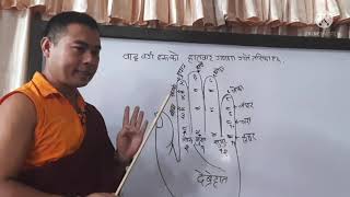 tibetan astrology online part 2चाडो हेर्नुहोला बाह्र बर्ग गणना विधि ।Lama Rajendra Syangbo [upl. by Feerahs]