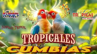 🔆CUMBIAS TROPICALES MIX 🦜VIEJITAS TROPICALES🎺ACAPULCO TROPICAL TROPICAL FLORIDA LOS KARKIS [upl. by Dolph]