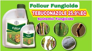 Folicur Fungicide  Bayer Folicur Tebuconazole 259EC  Systemic Fungicide  Tamil [upl. by Hedvah]