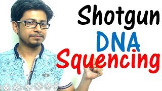 Shotgun sequencing method explained [upl. by Ynatil]