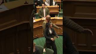 TEAM MAORI ALL DAY LONG  NEW ZEALAND PARLIAMENT [upl. by Aneer]