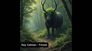 Ray Calman  Forest [upl. by Pul]