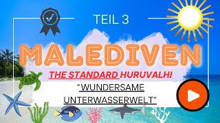 Die Malediven Teil 3  Wilde Blaue Ozeane [upl. by Anawit]