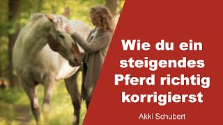 Wie du ein steigendes Pferd richtig korrigierst  Akki Schubert  1 [upl. by Ecirtnahc]