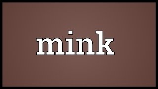 Mink Meaning [upl. by Aretta]