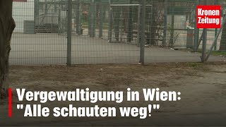 Vergewaltigung in Wien Zeuge verfolgte Täter  kronetv NEWS [upl. by Ojeillib320]