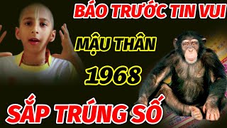 TIN VUI BẤT NGỜ CHO TUỔI MẬU THÂN SINH 1968 TRONG THÁNG 11 VÀ 12 ÂM LỊCH TRÚNG SỐ ĐẬM QUẢ NÀY GIÀU [upl. by Paulette]