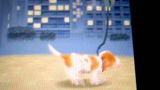 Nintendogs  Astuce promenade [upl. by Janith]