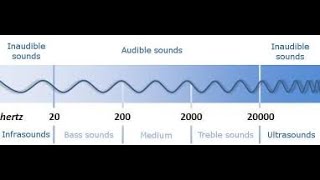 Ultrasound vs Infrasound [upl. by Ellehsar]