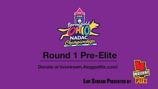 2019 NADAC Championships Round 1 Pre Elite [upl. by Fanya910]