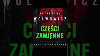 KSIĄŻKA Kryminały po Polsku AudioBook PL 10🎧 [upl. by Zena]