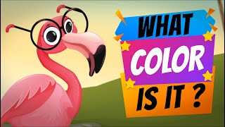 😀 What Color is it Song 🌻 Learn 11 Colors 🇬🇧 Learn English Kids [upl. by Asatan]