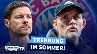 Bayern und Tuchel trennen sich im Sommer – Xabi Alonso Wunschlösung als Nachfolger  TRANSFERMARKT [upl. by Amjan]