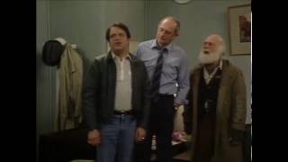 Only Fools and Horses  You Plonker [upl. by Chance946]