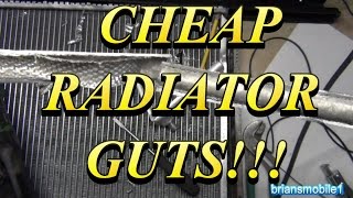 CHEAP RADIATOR GUTS [upl. by Eninotna]