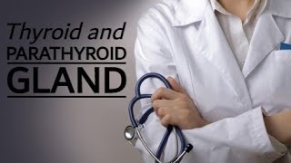 Physiology 707Endocrine3Thyroid amp Parathyroid glandsMedical [upl. by Nomolos359]