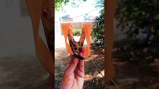 best hunting sling Shot hunting handmade slingshot hunting huntting slingshot birds slingshothun [upl. by Merdith]