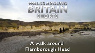 A walk around Flamborough Head  Walks Around Britain Shorts [upl. by Sabrina]