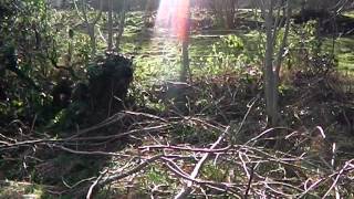 Permaculture Orchard Progress [upl. by Grannie724]