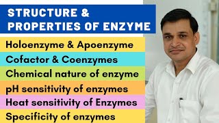 Structure and properties of enzymes  Cofactors and coenzymes [upl. by Nyleaj]