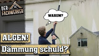 Hässliche Veralgung der Hauswand wegen Dämmung [upl. by Letsyrc626]