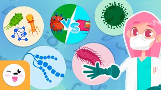 Microorganisms  Compilation Video  Bacteria Viruses and Fungi  Explanation for Kids [upl. by Guenna]