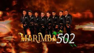 MARIMBA 502 NUEVO INTRO 2023 [upl. by Ia]