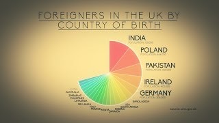 Migration in the UK and politics infographic [upl. by Dnalyar]