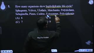 How many organisms show haplodiplontic life cycle Sphagnum Volvox Ulothrix Marchantia Polyt [upl. by Cadell]