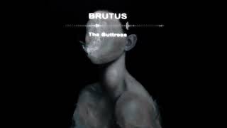 The buttress  brutus sped up nightcore shorts spedupsongs spedup [upl. by Collier]