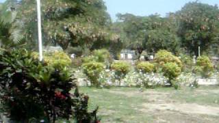 El Camalote Michoacan Jardin [upl. by Atul]