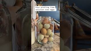 Water Glass Eggs for long term storage eggs selfsufficiency homestead foodsecurity [upl. by Natanhoj]