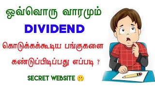 How to Find Dividend Stocks   Dividend investing for Beginners in Tamil [upl. by Scarrow]