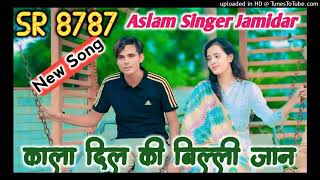 SR 8787 Aslam singer Jamidar  New Audio Video song  TR Mewati 8787 [upl. by Cooe]