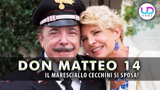 Don Matteo 14 il maresciallo Cecchini si sposa [upl. by Lamaaj]