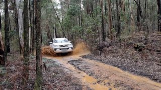 MUST GO Wombat State Forest 4WD [upl. by Sima57]