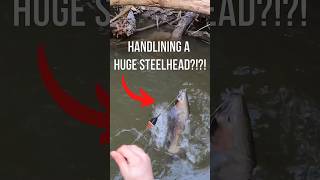 I had to HANDLINE a HUGE Steelhead Trout fishing steelhead troutfishing [upl. by Yorel]