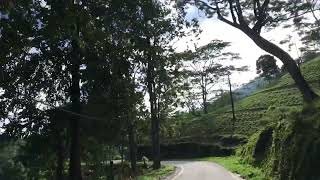 Deniyaya  Rakwana Road  දෙණියාය  Gongala  Rakwana  Sooriyakanda  DeniyayaRakwana Road Trip [upl. by Ynot]