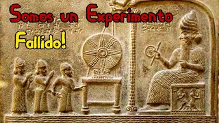 Top 7 Teorías sobre el origen de la Humanidad [upl. by Asiak]