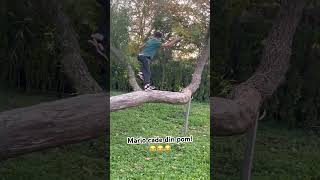 Am căzut din pom funny shortvideo shorts short viralshorts [upl. by Squire]