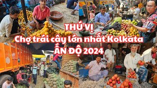 THÚ VỊ Ấn Độ 2024 Đi CHỢ TRÁI CÂY LỚN NHẤT cố đô Kolkata  KHỦNG KHIẾP Trời NÓNG NHƯ THIÊU [upl. by Anirahs]