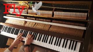 Fly 🕊 piano cover Ludovico Einaudi [upl. by Valli]