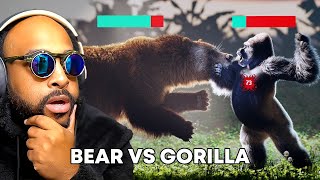 GRIZZLY BEAR vs SILVERBACK GORILLA debate ends HERE [upl. by Sido]